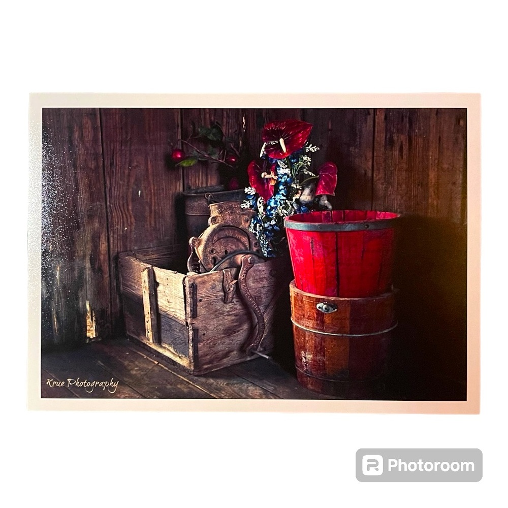 5 x 7 Original Photo Print of “Lovely’s Forgotten”